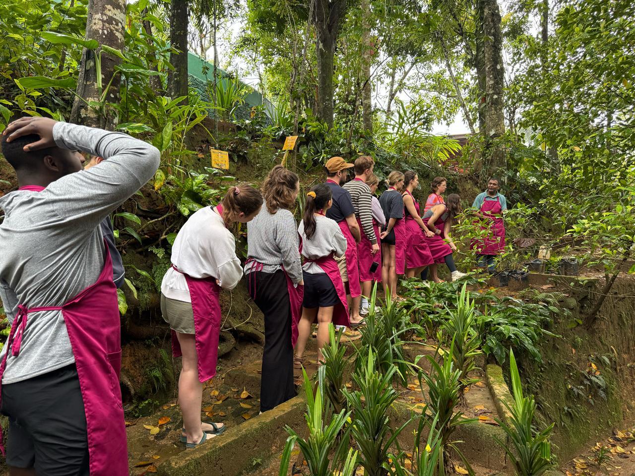 WhatsApp Image 2025-03-11 at 2.13.54 PM